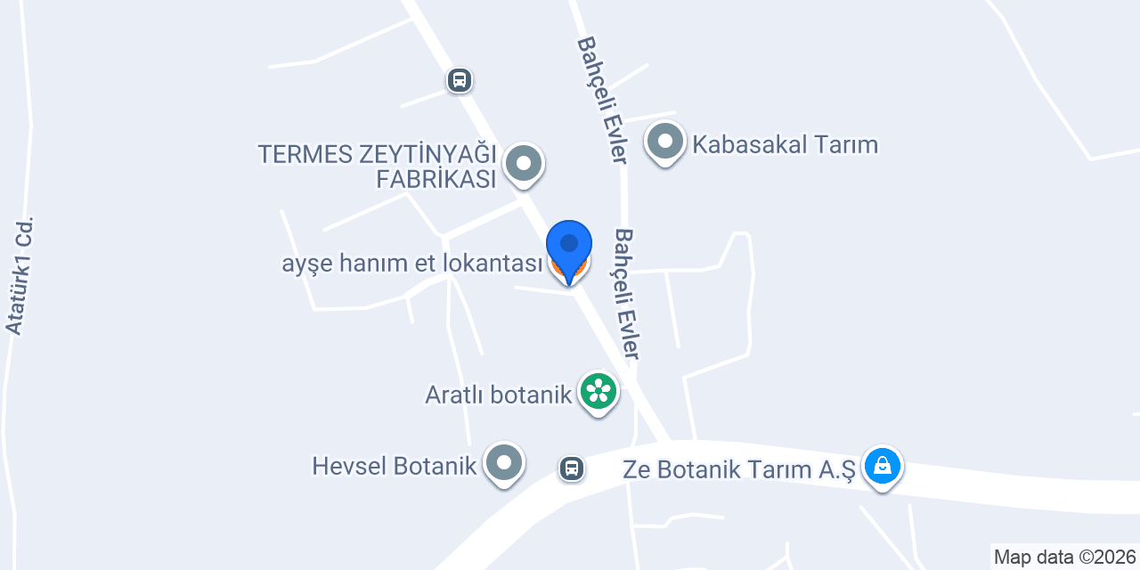 ayşe hanım et lokantası konumu