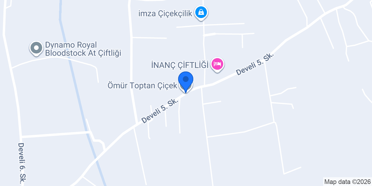 Ömür Toptan Çiçek konumu