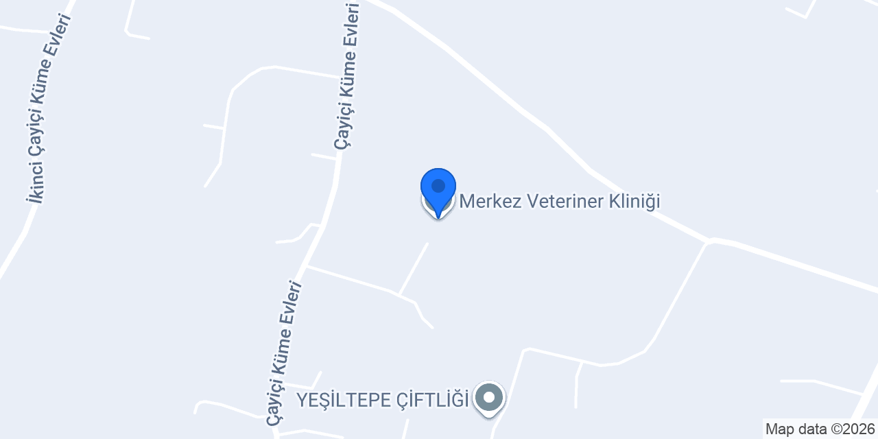Merkez Veteriner Kliniği konumu