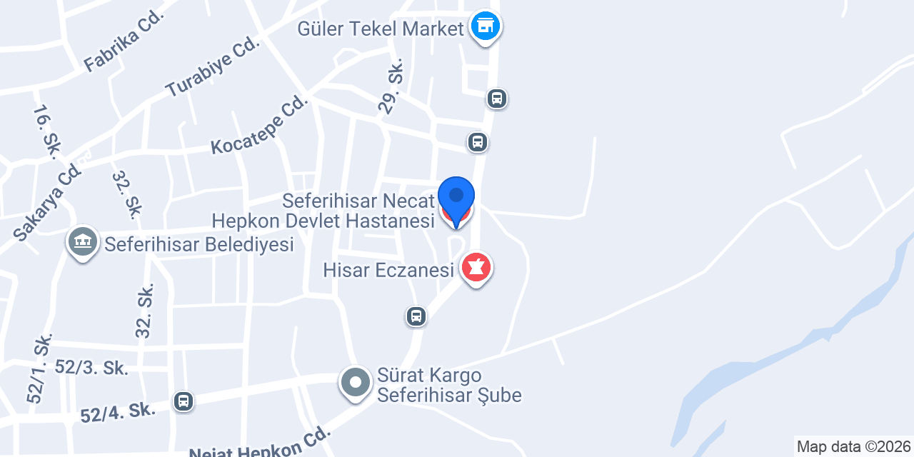 Seferihisar Necat Hepkon Devlet Hastanesi konumu