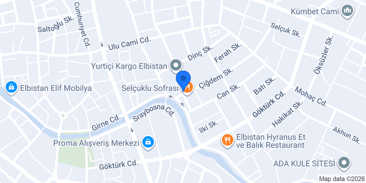 Ankafiz Fizyoterapi Elbistan konumu