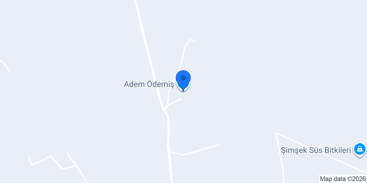 Adem Ödemiş konumu