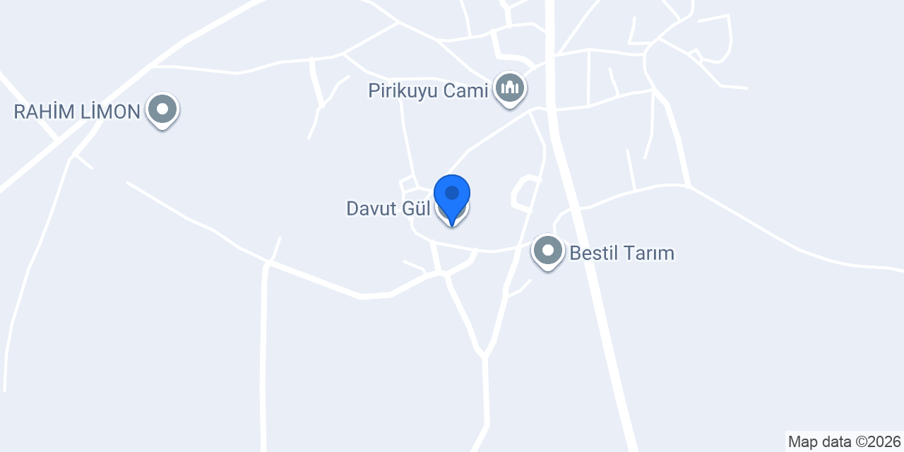 Davut Gül konumu