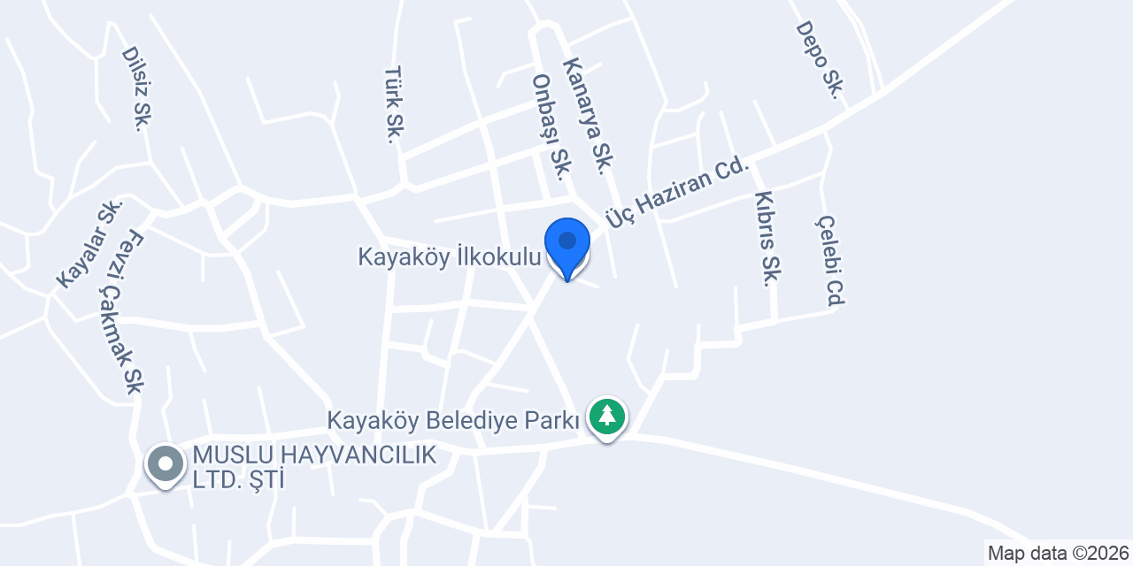 Kayaköy İlkokulu konumu