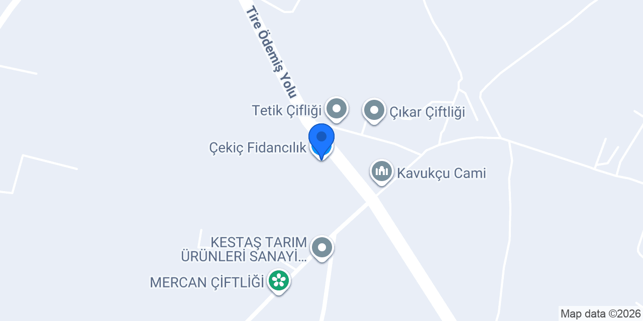 Çekiç Fidancılık konumu