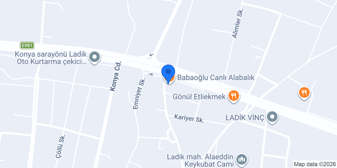Babaoğlu Canlı Alabalık konumu