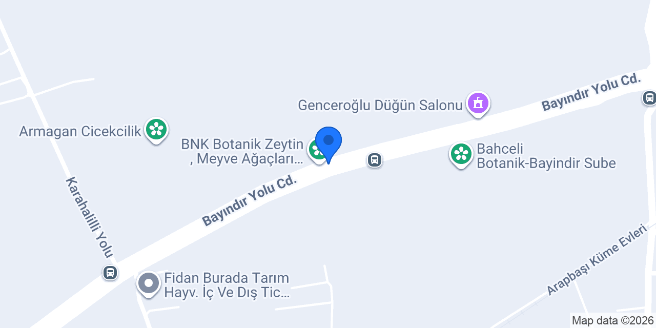 Begonvil Dünyası konumu