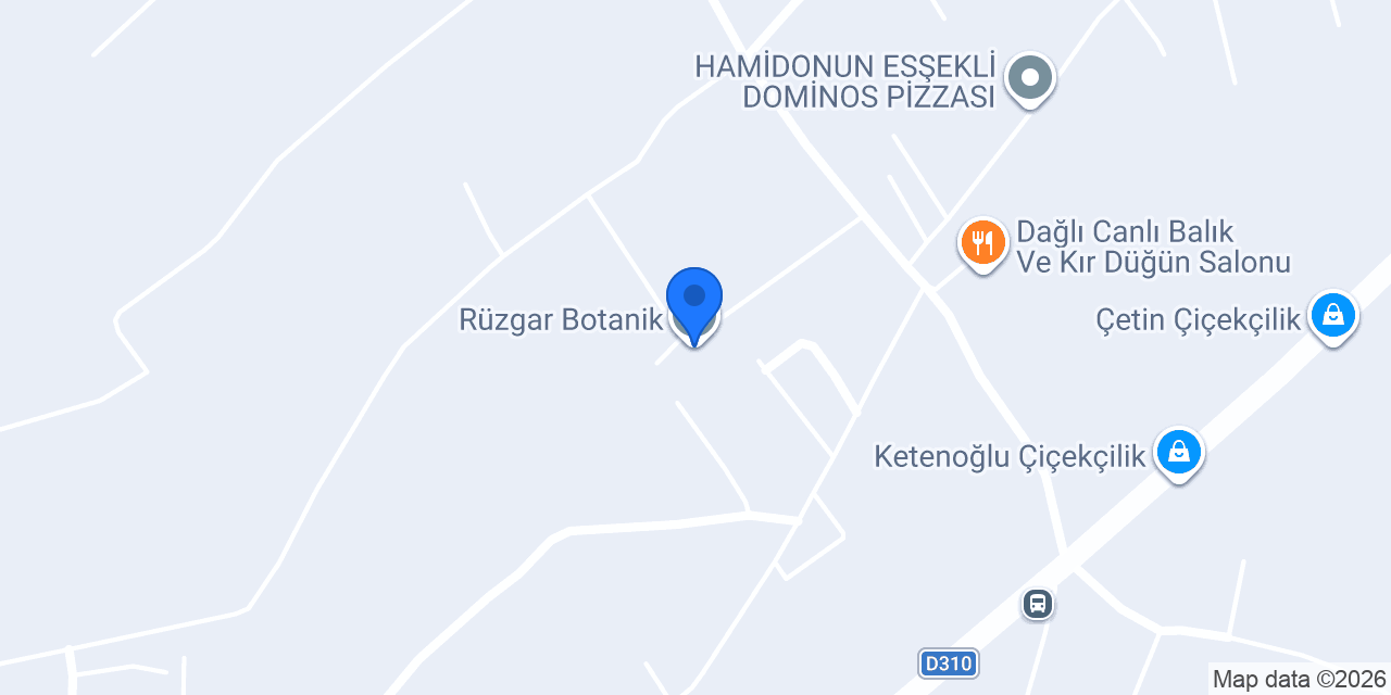 Rüzgar Botanik konumu
