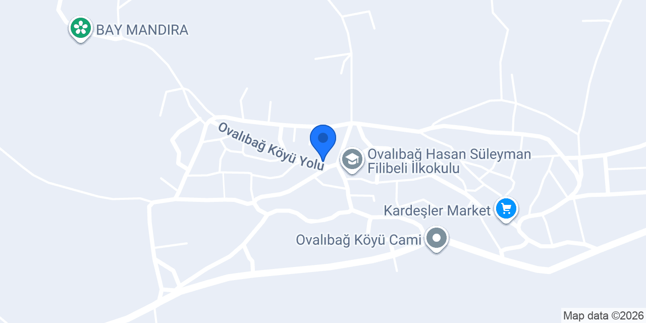 Foto Çınar konumu