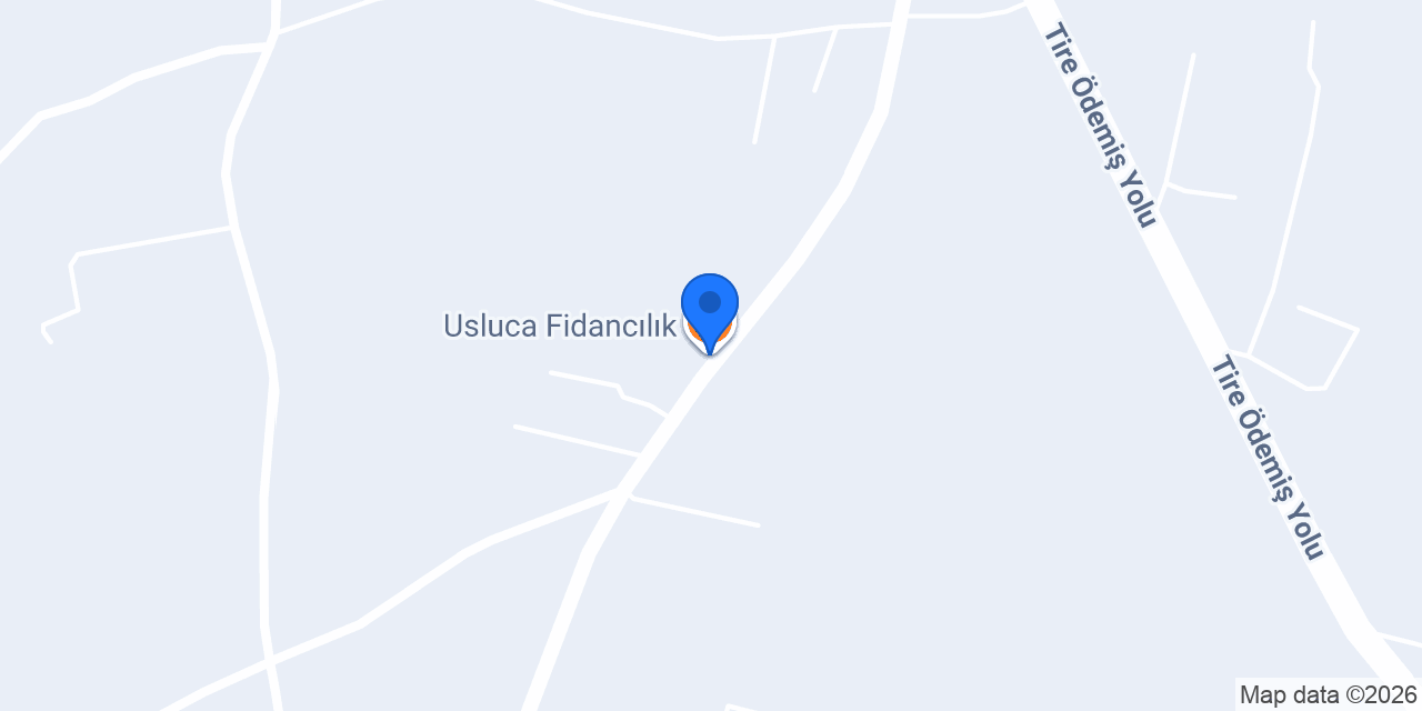Usluca Fidancılık konumu
