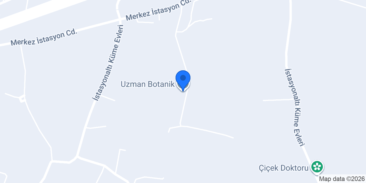 Uzman Botanik konumu