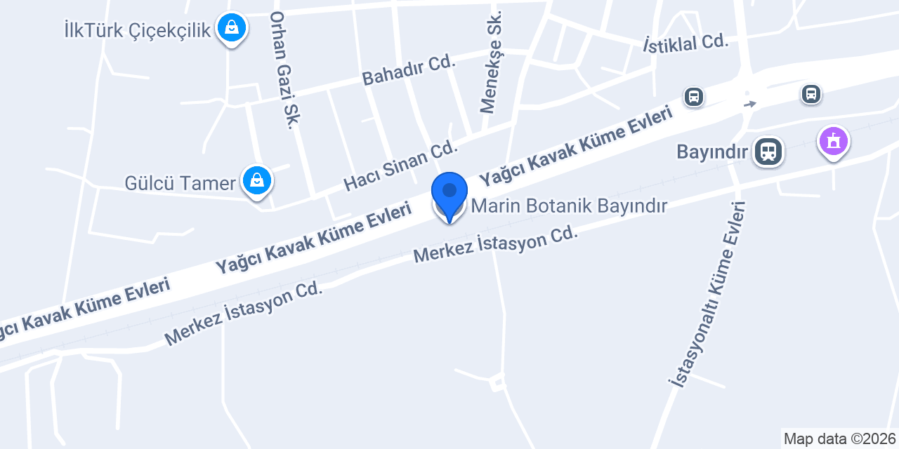 Marin Botanik Bayındır konumu
