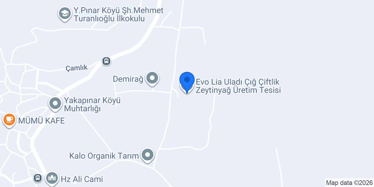 Evo Lia Uladı Çığ Çiftlik Zeytinyağ Üretim Tesisi konumu
