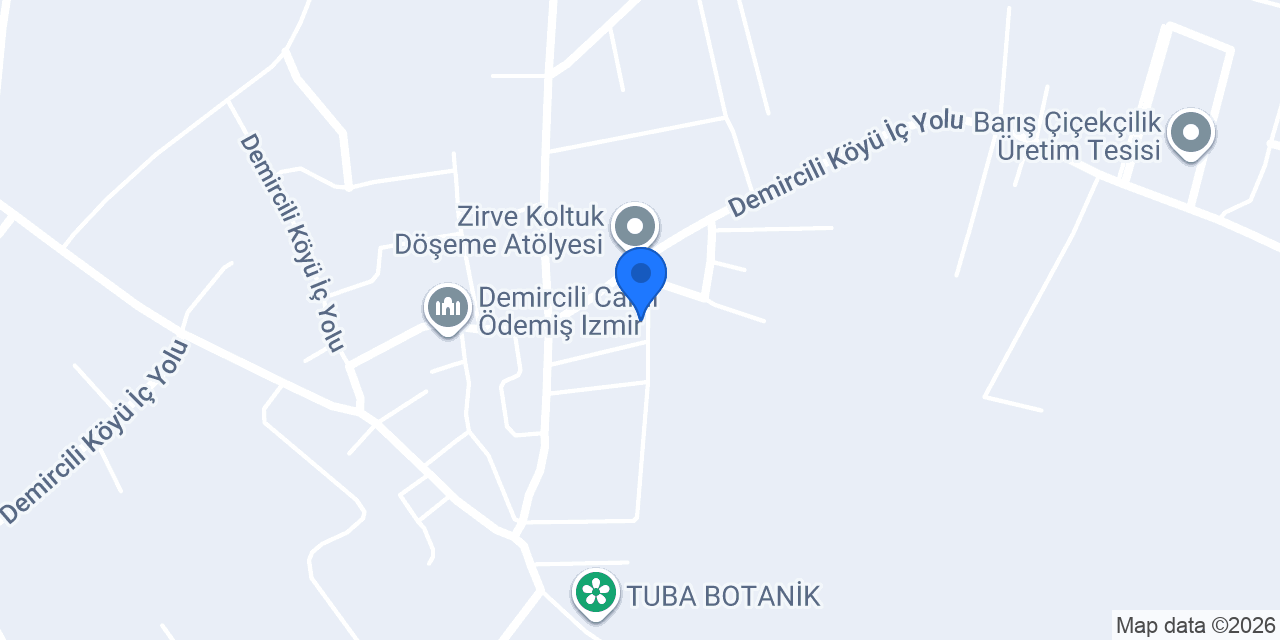 Demircili İlköğretim Okulu konumu