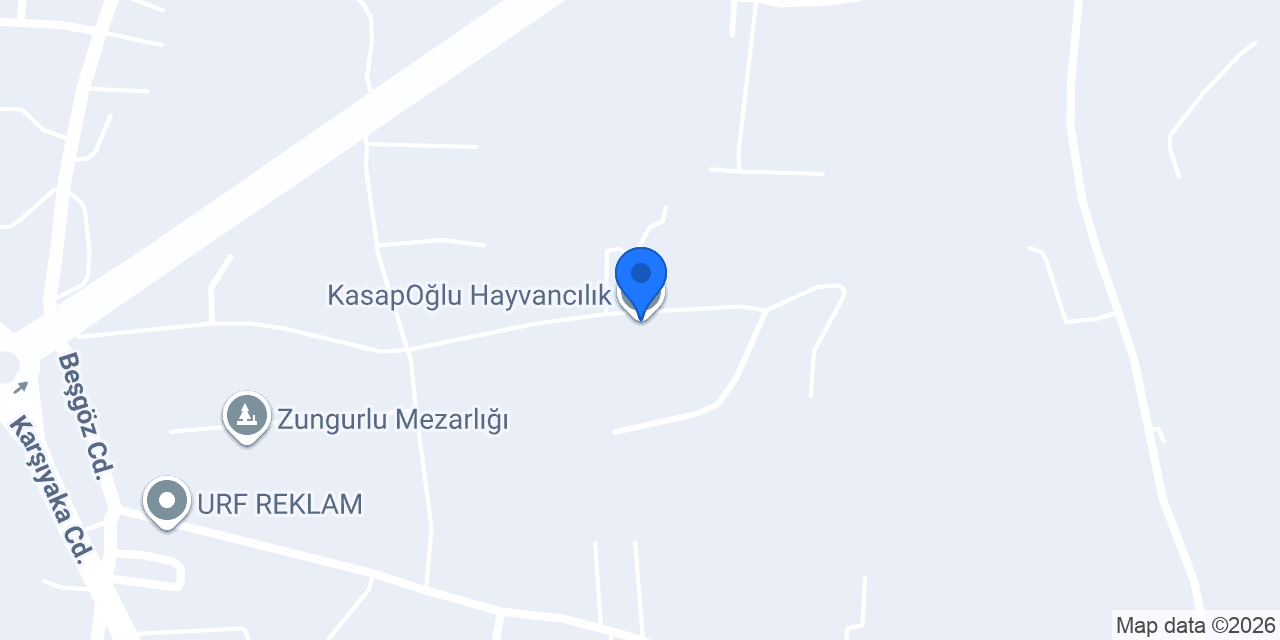 KasapOğlu Hayvancılık konumu
