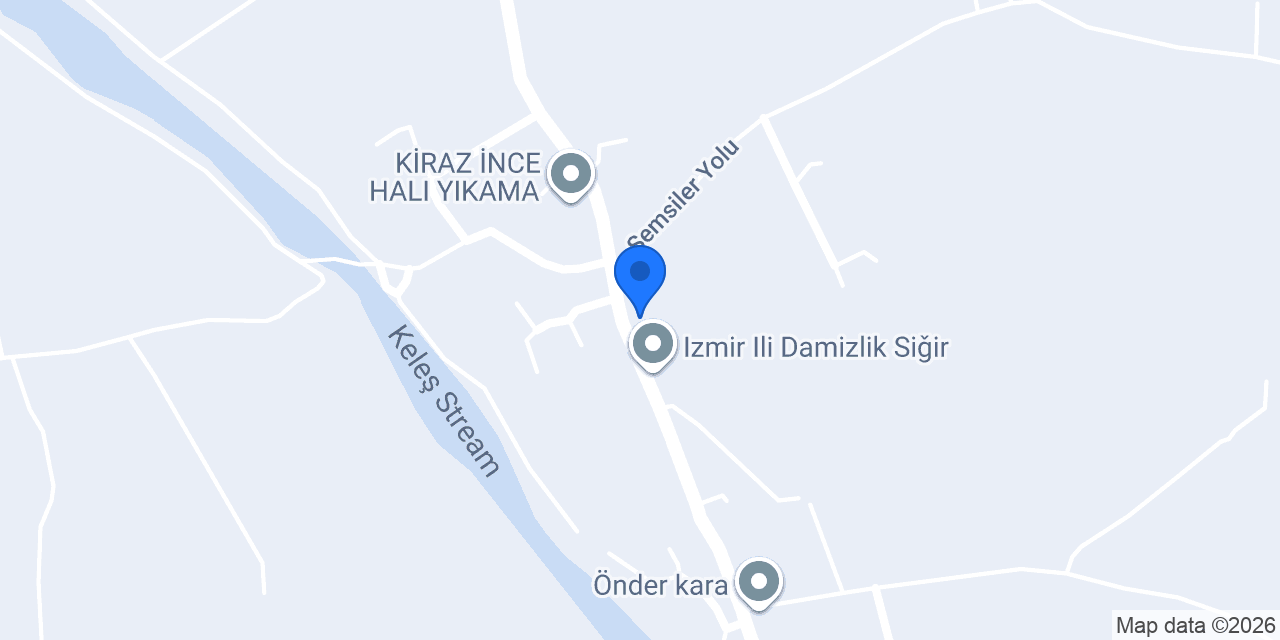 Kaya Kıraathanesi! konumu