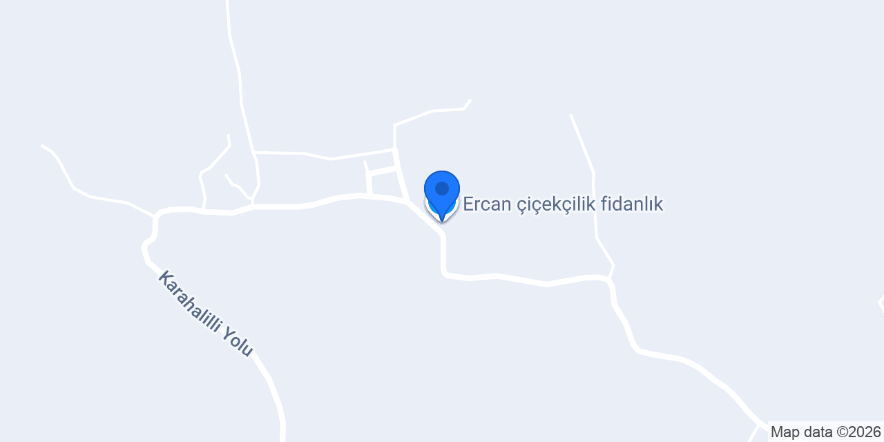 Ercan çiçekçilik fidanlık konumu