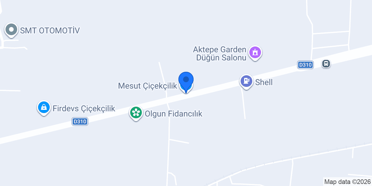Mesut Çiçekçilik konumu