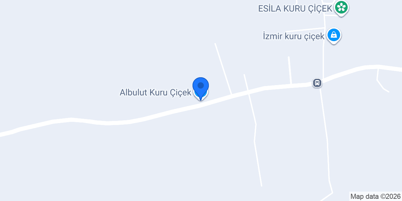 Albulut Kuru Çiçek konumu