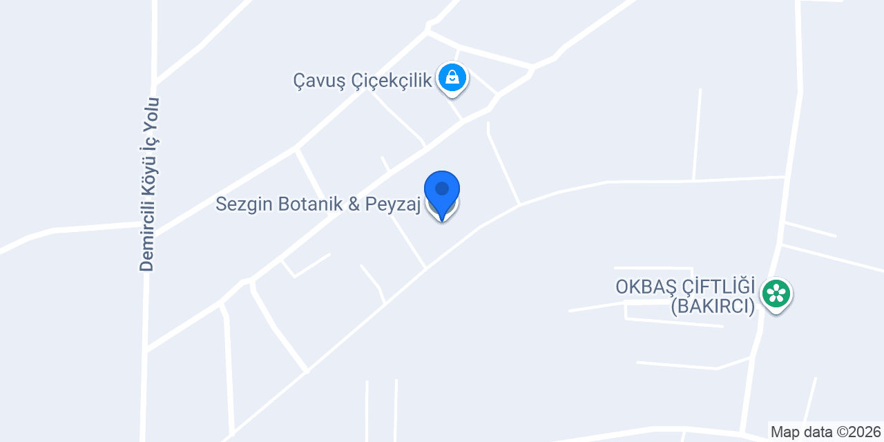 Sezgin Botanik & Peyzaj konumu