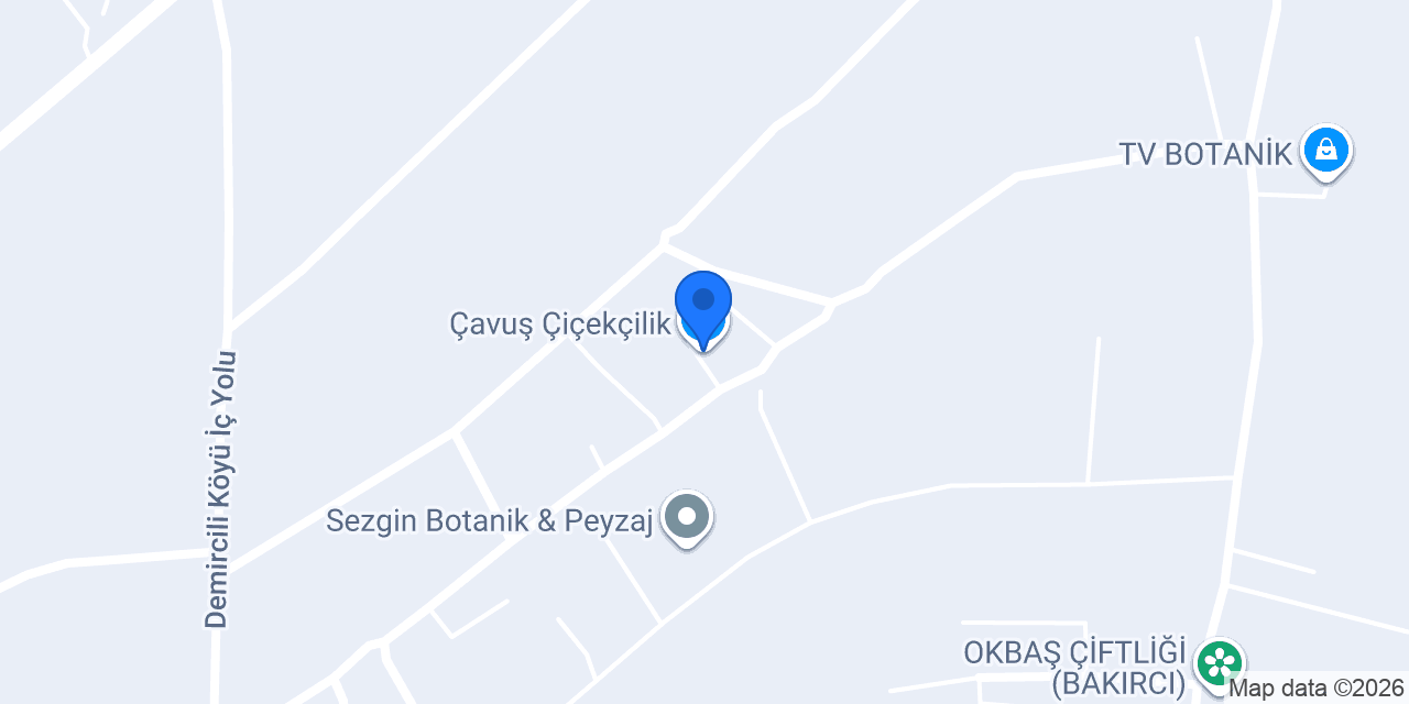 Çavuş Çiçekçilik konumu