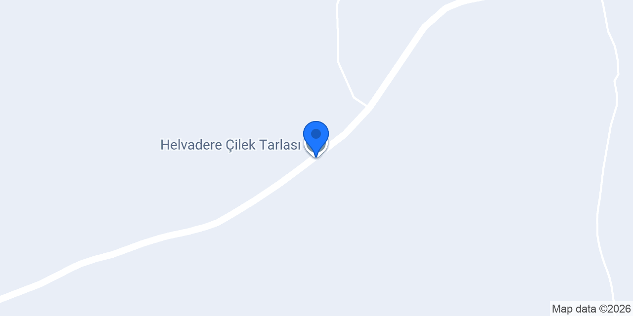 Helvadere Çilek Tarlası konumu
