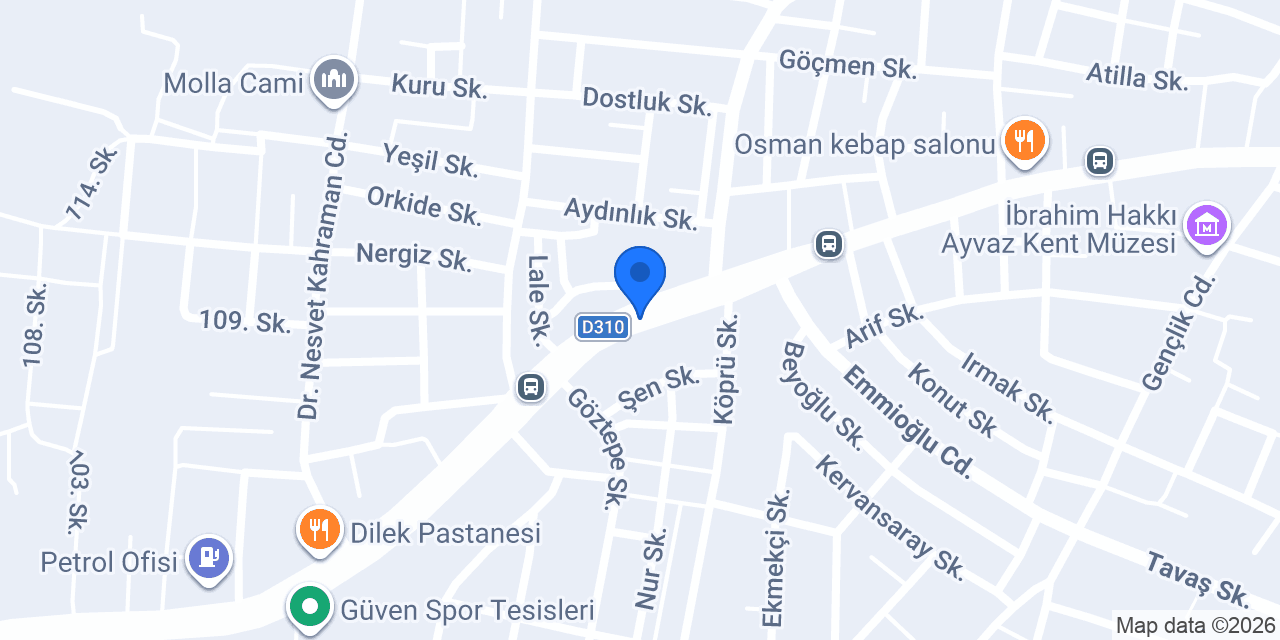 Asil Otomotiv konumu