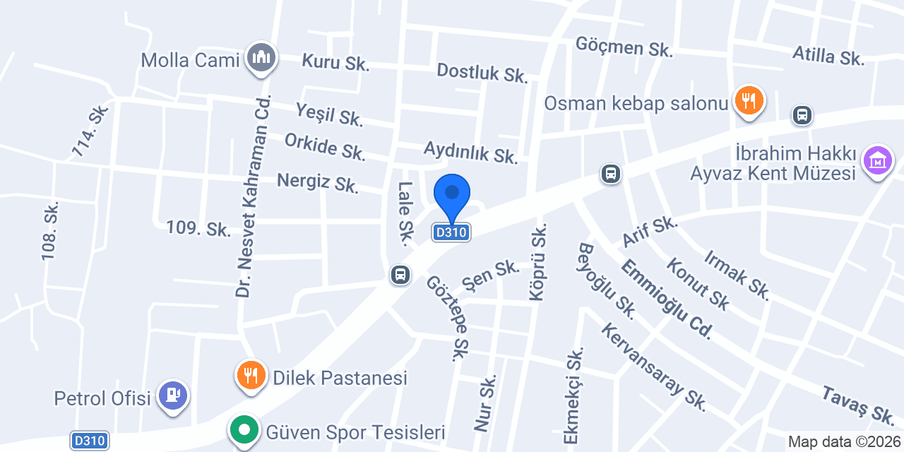 Ege Ulaşım - Ödemiş Şubesi konumu