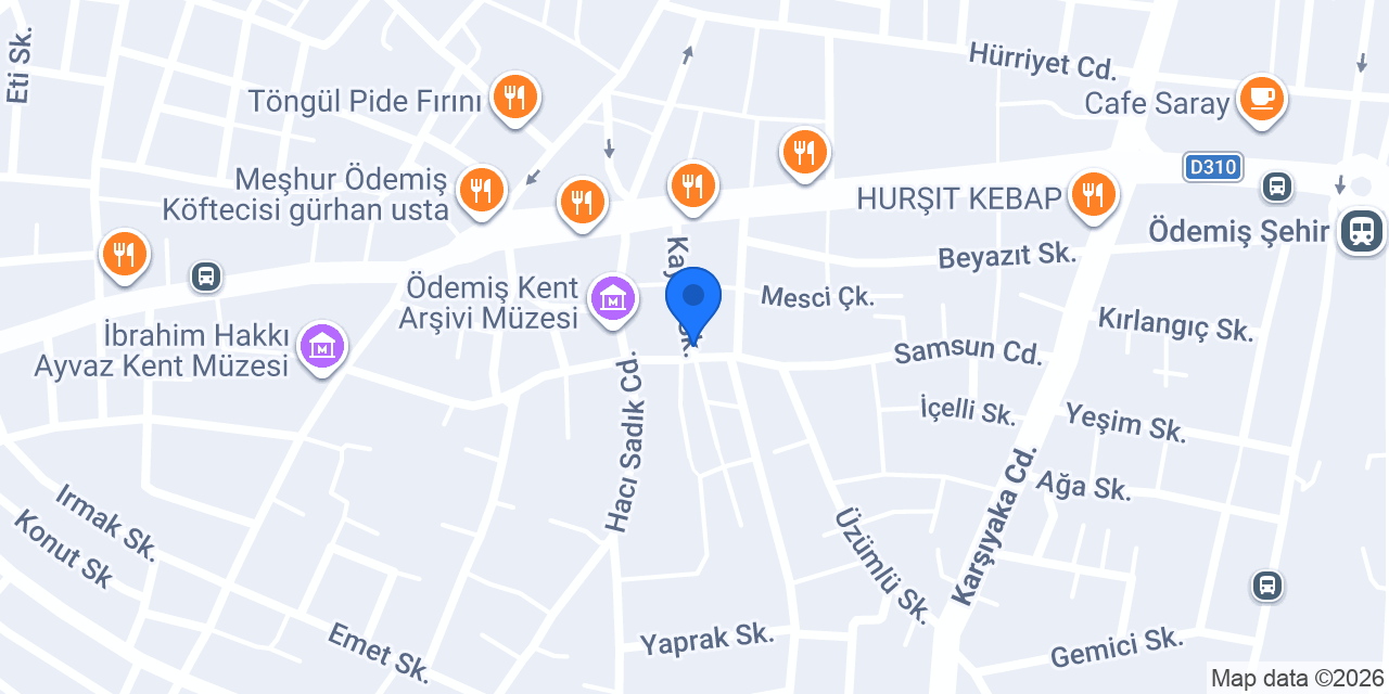 SALAŞ SOKAK LEZZETLERİ konumu