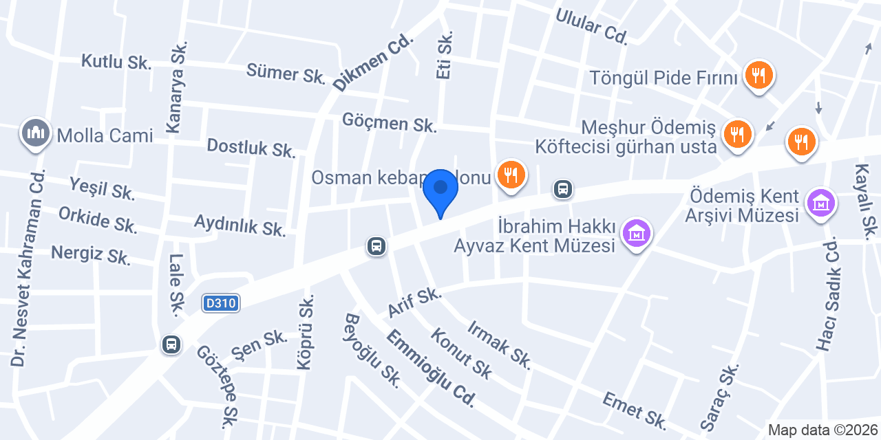 Vizyon otomotiv konumu