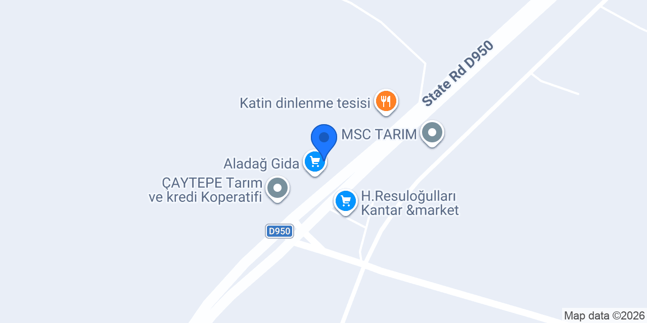 Aslan otomotiv konumu