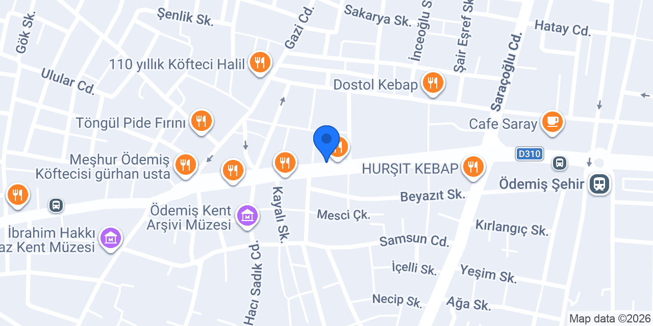 Ekiz Elektronik konumu