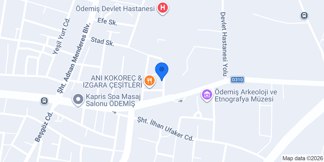 ADA_MOTORS ÖDEMİŞ konumu