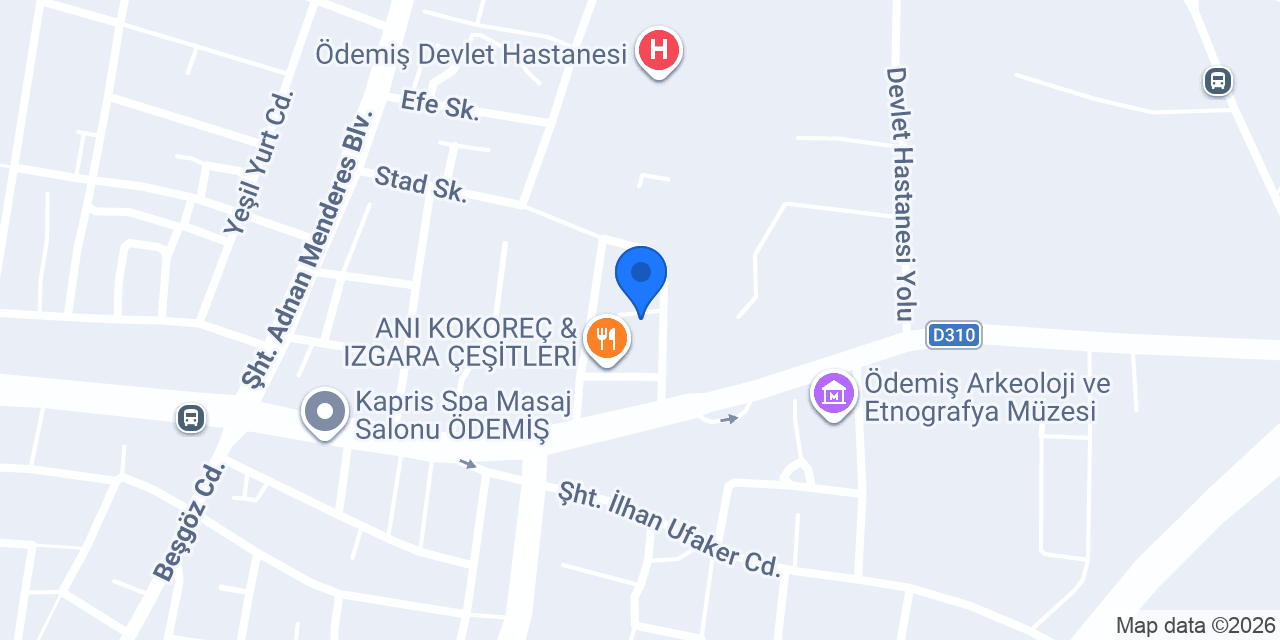 Dayan Medikal konumu