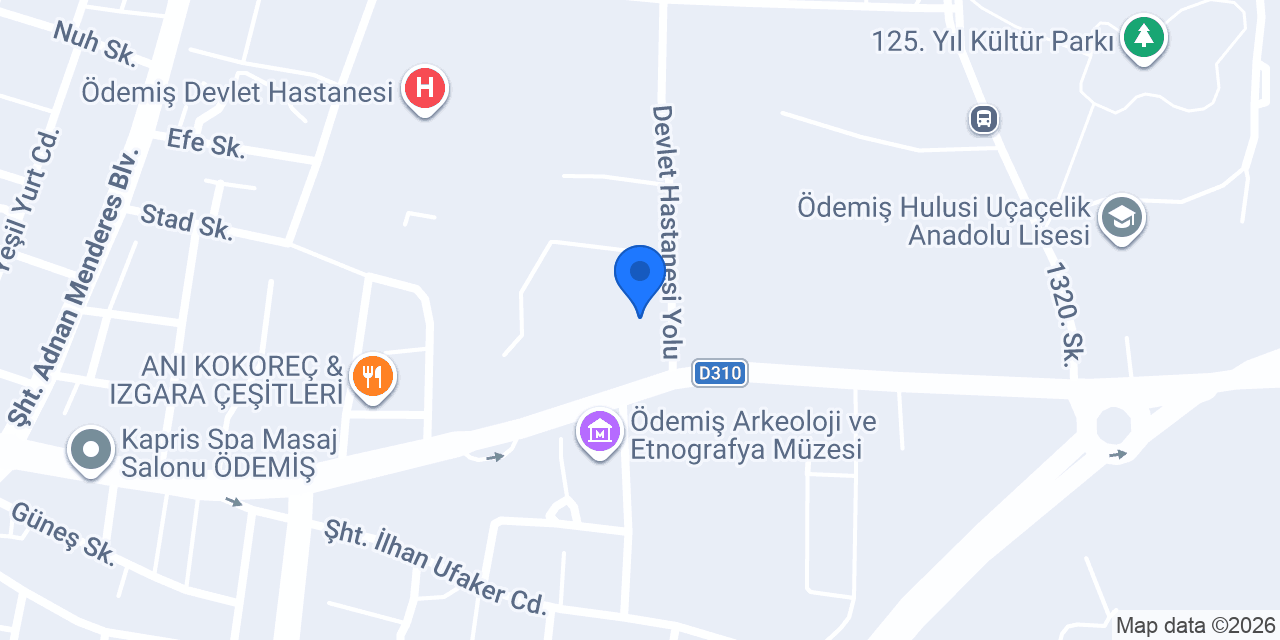 Ödemiş İlçe Halk Kütüphanesi Müdürlüğü (Library) konumu