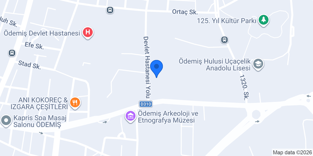 GSB ÖDEMİŞ GENÇLİK MERKEZİ konumu