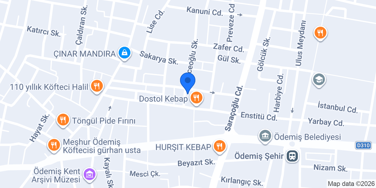 Avukat Nezin Şahan konumu