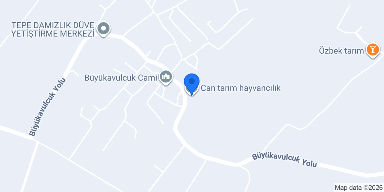 Can tarım hayvancılık konumu