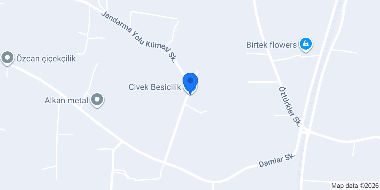 Civek Besicilik konumu