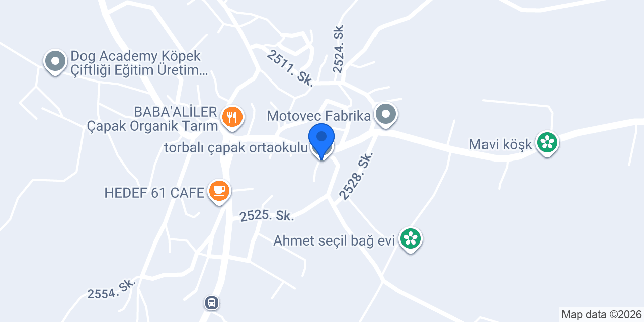 torbalı çapak ortaokulu konumu