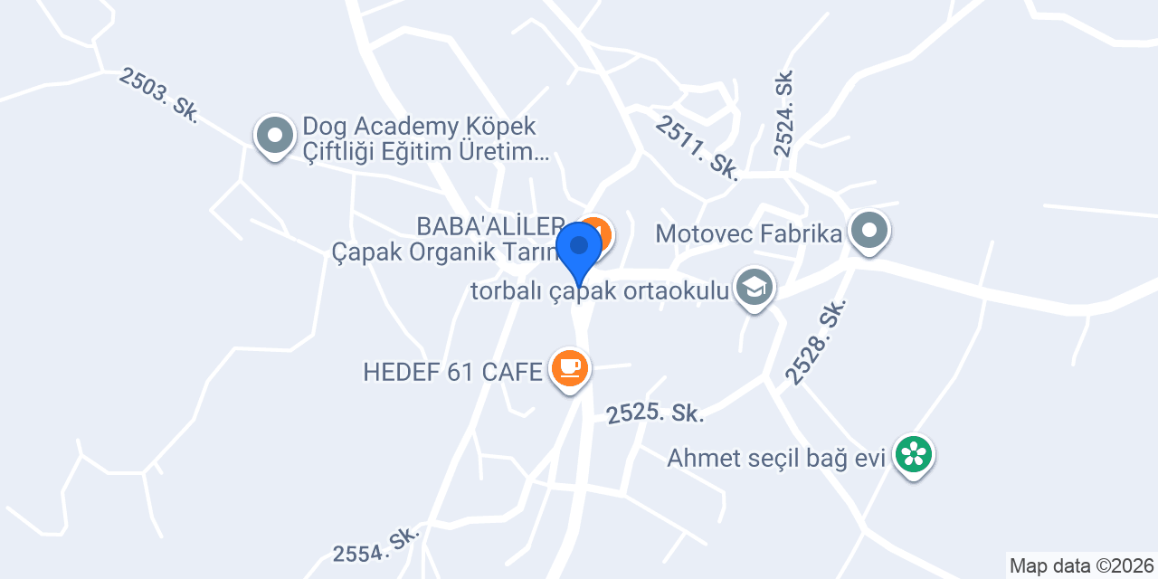 ÇAPAK ELEKTRİK konumu