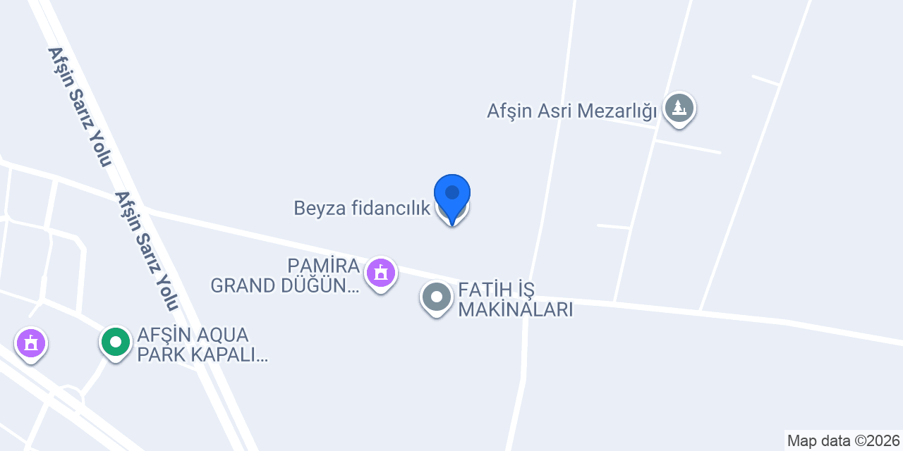 Beyza fidancılık konumu