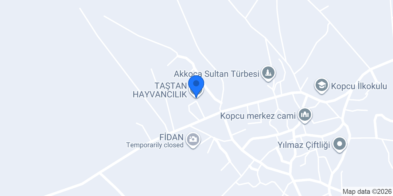 TAŞTAN HAYVANCILIK konumu