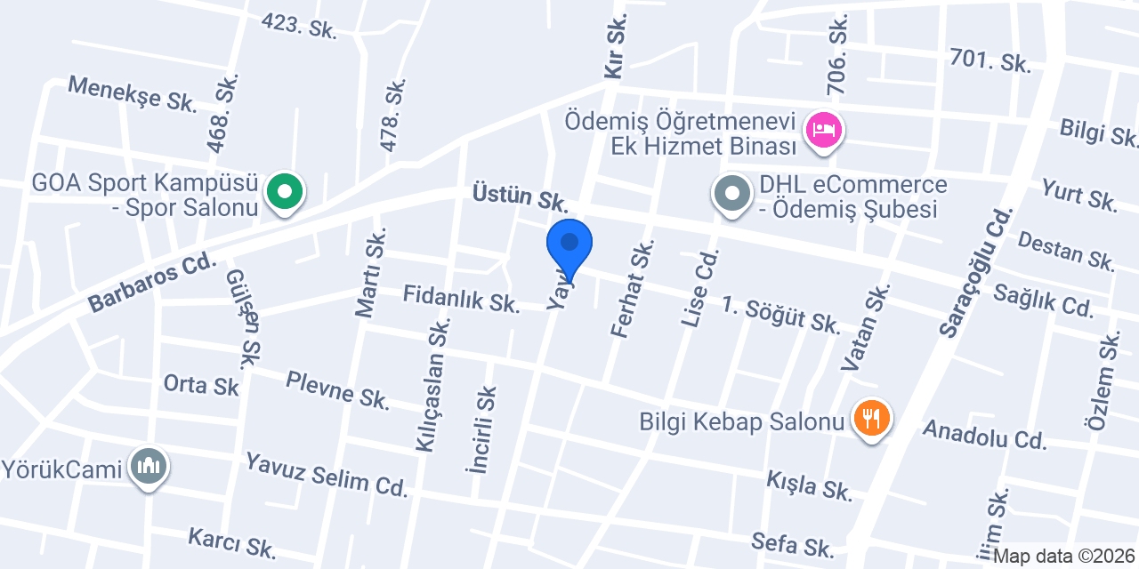 Aras Kargo Ödemiş Şubesi konumu