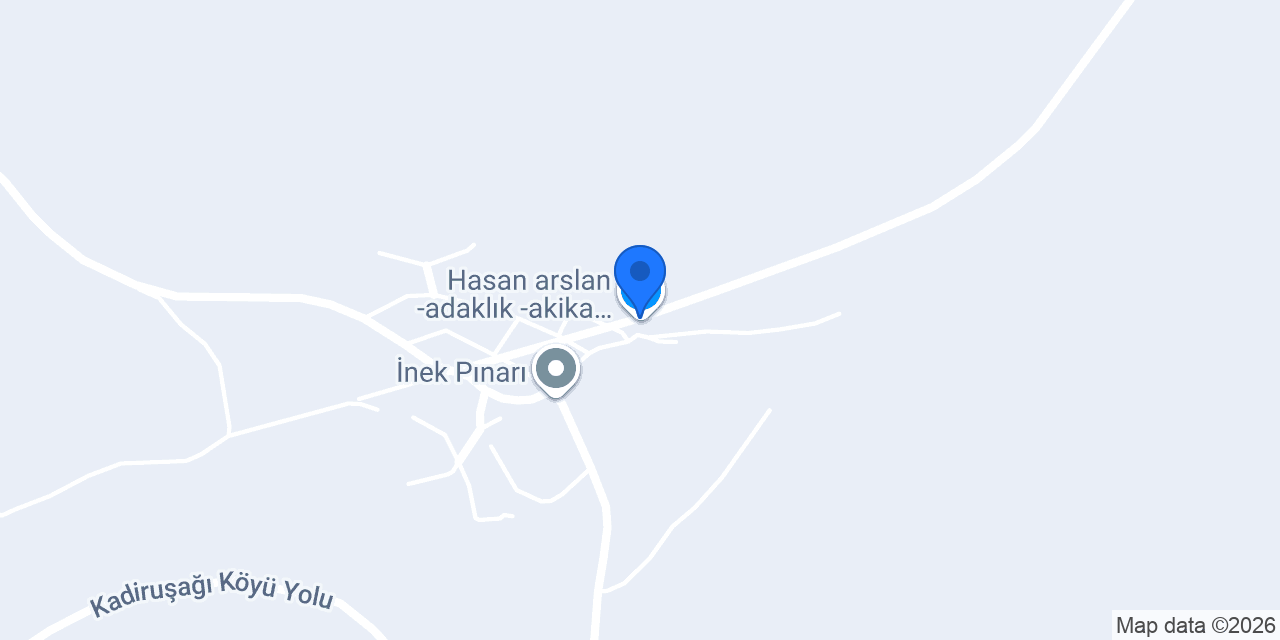Arslanlar besicilik konumu