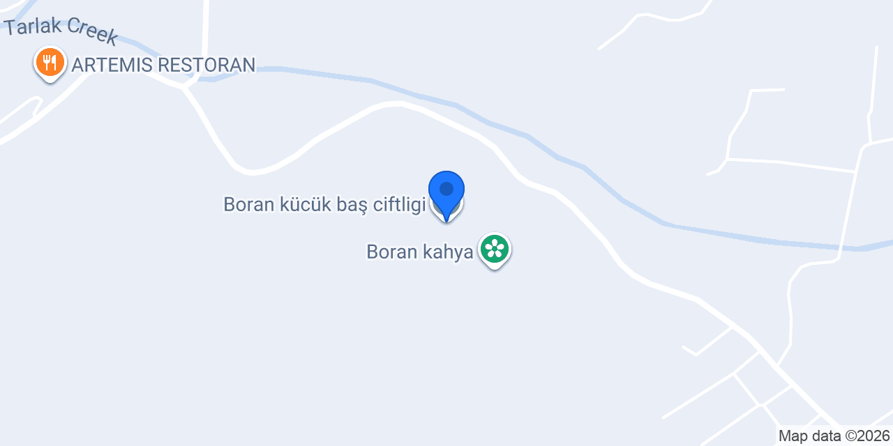 Boran kücük baş ciftligi konumu