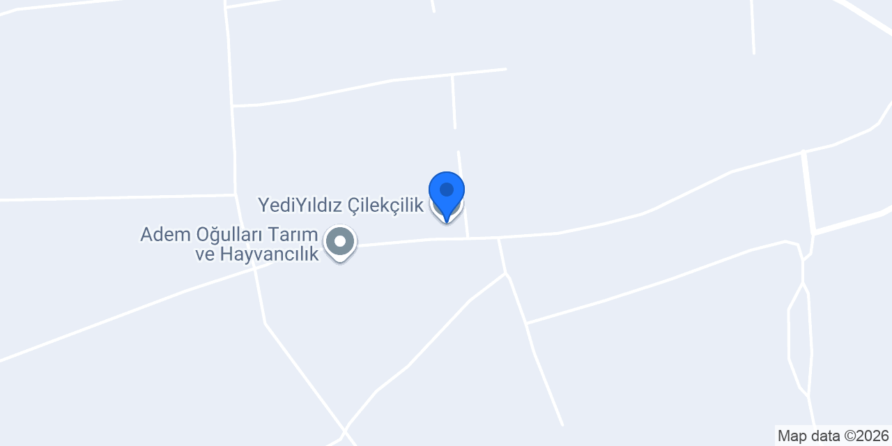YediYıldız Çilekçilik konumu