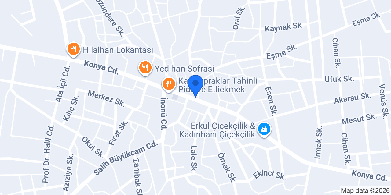 Fizynet telekomünikasyon konumu
