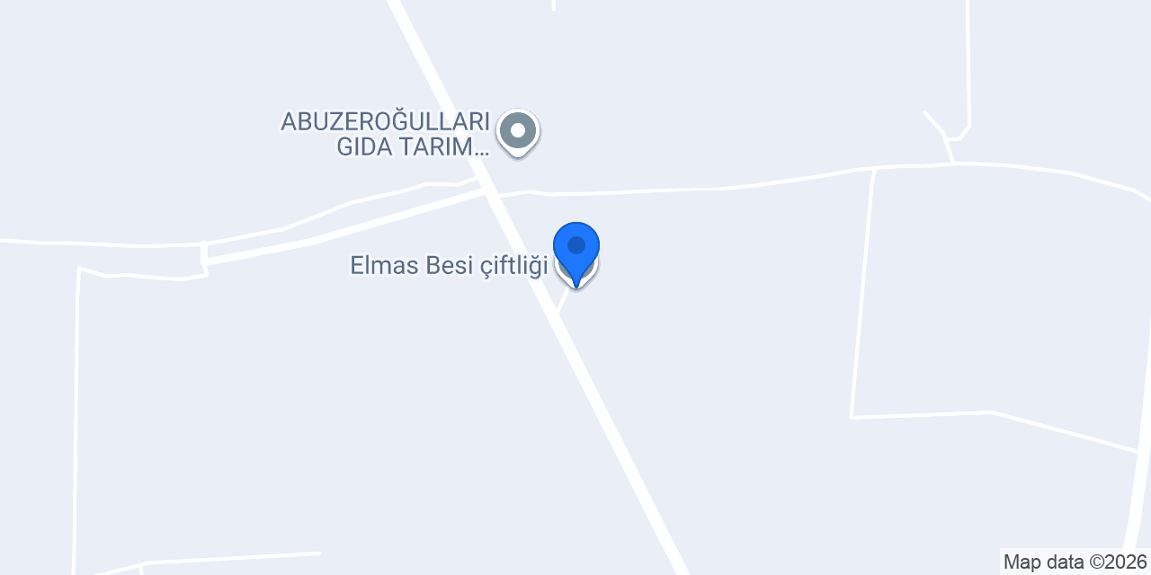 Elmas Besi çiftliği konumu