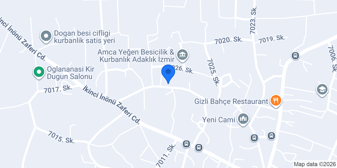 Rasyo Bağımsız Denetim konumu